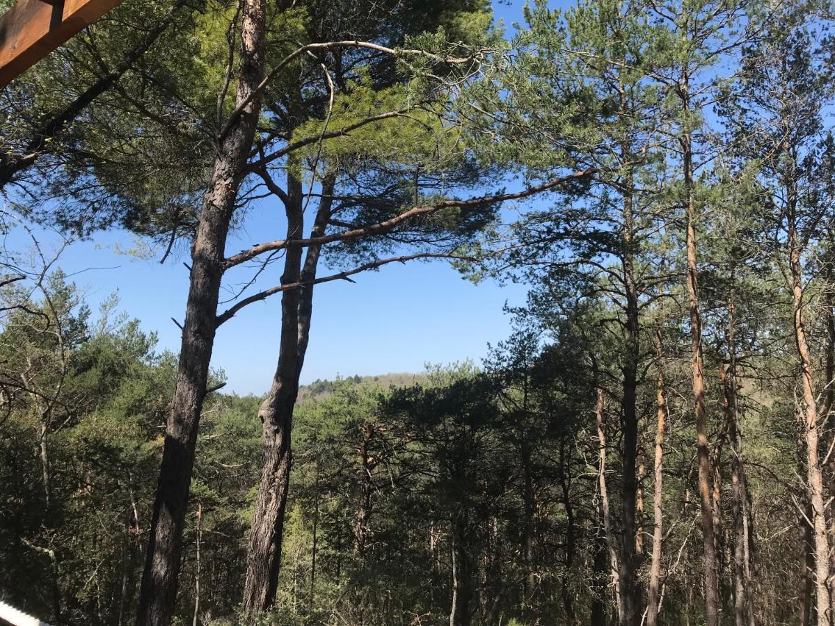 Admirez La Nature, Sejourner Differemment ! Montagnac  Eksteriør billede